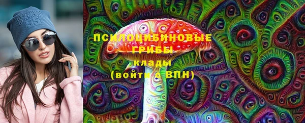молекула духа Белокуриха