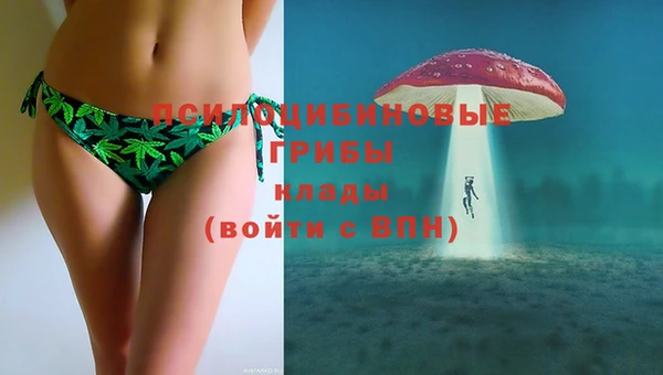 молекула духа Белокуриха