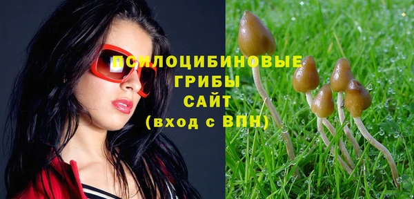 прущий лед Беломорск