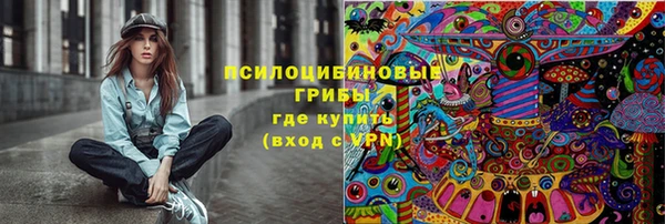молекула духа Белокуриха