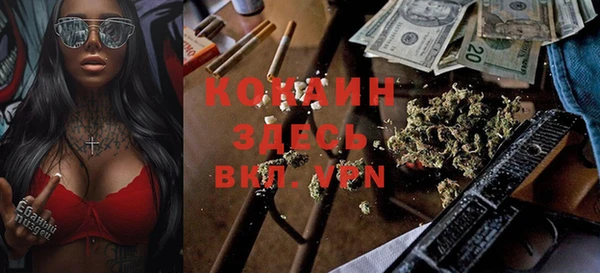 молекула духа Белокуриха