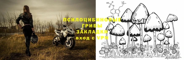 хмурый Белоозёрский