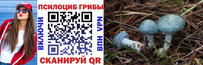 Галлюциногенные грибы Magic Shrooms  Кузнецк 